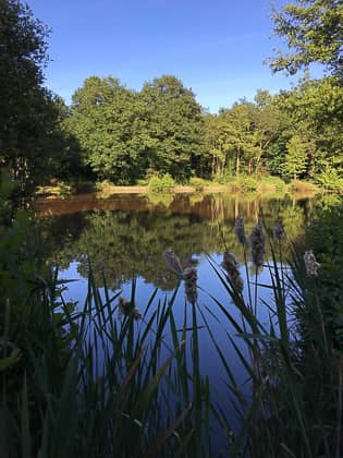 domaine-le-hameau-du-lac-residence-de-loisirs-pornic-agglo-3